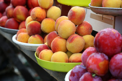 Plums, peaches and nectarine on the local farm market, eco juicy fruits. shopping organic products. 