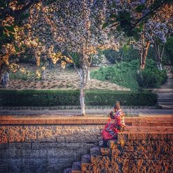 Women sitting on tree by plants