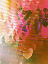 Digital composite image of pink flowering plant