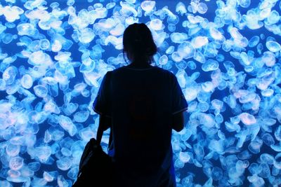 Silhouette of woman standing in aquarium