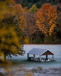 Scenic view of forest during autumn