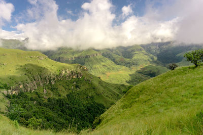 Scenic view of landscape against sky