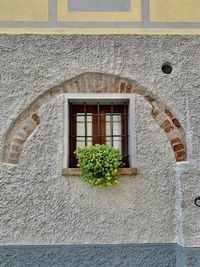 Low angle view of window on wall of building