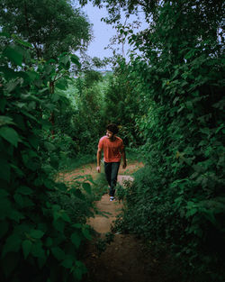 Full length of man walking amidst forest