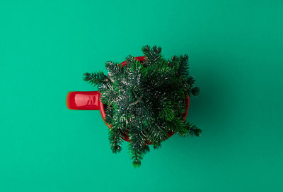 Christmas tree against blue wall