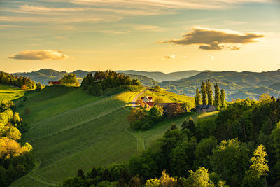 South styria vineyards landscape, near gamlitz, austria, europe. grape hills view from wine road 