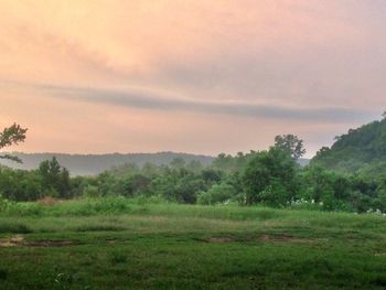 Scenic view of landscape against sky