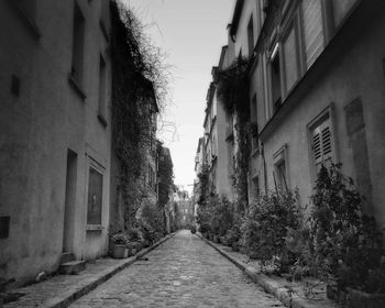 Narrow alley amidst buildings in city