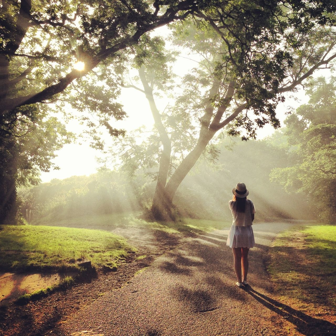 tree, full length, rear view, lifestyles, walking, sunlight, leisure activity, tranquility, nature, growth, sunbeam, tranquil scene, sun, grass, landscape, field, men, beauty in nature