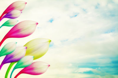 Low angle view of pink flowering plant against cloudy sky