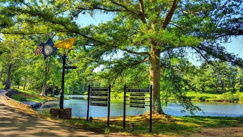 Trees in park against sky