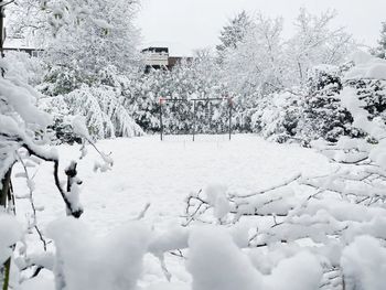 Snow covered field