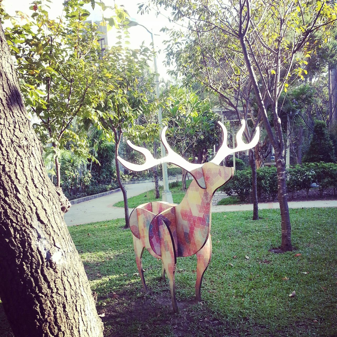 tree, animal themes, grass, park - man made space, growth, mammal, tree trunk, nature, domestic animals, branch, horse, green color, day, one animal, sunlight, no people, built structure, fence, outdoors, tranquility