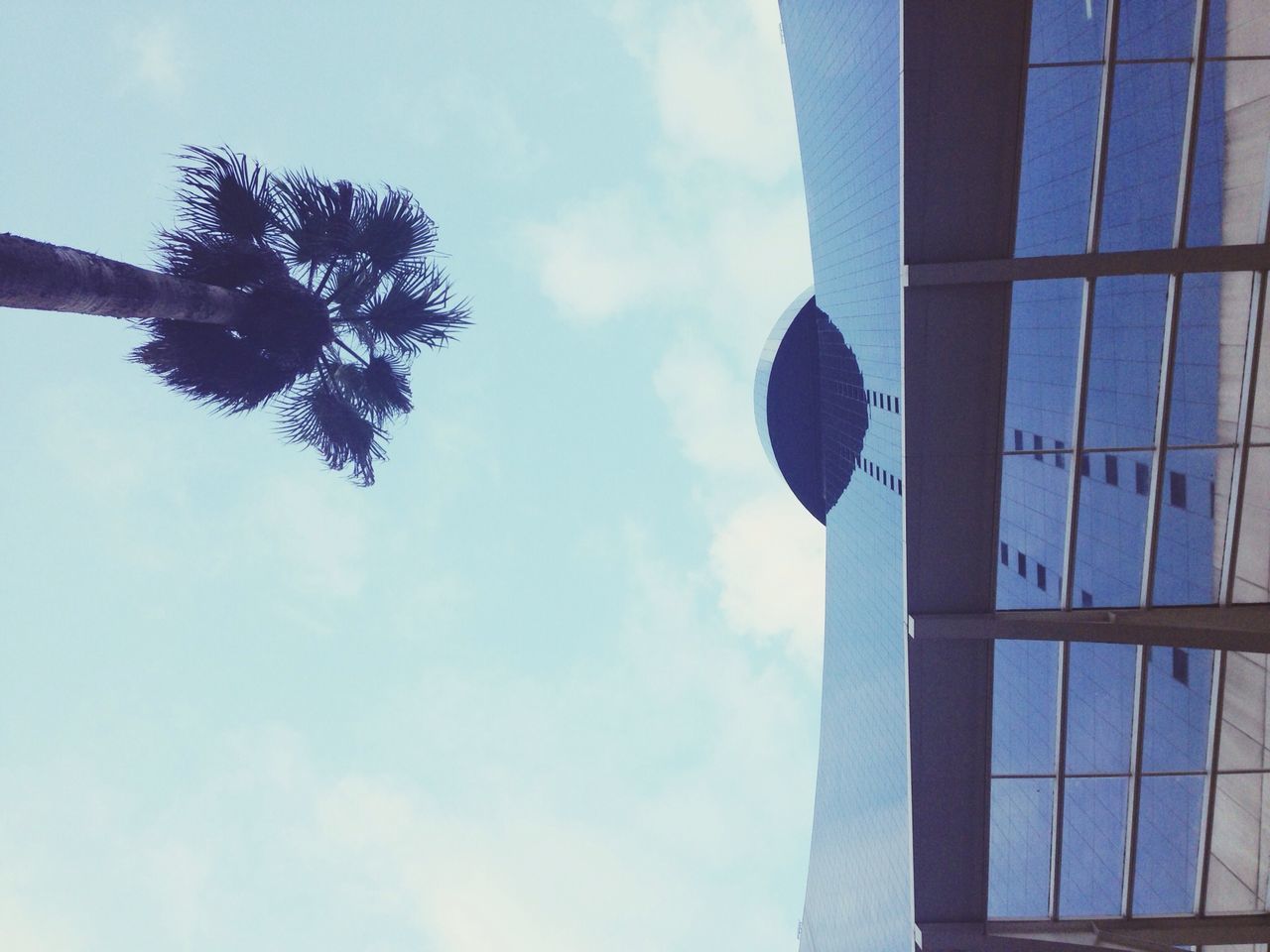 low angle view, sky, architecture, built structure, building exterior, cloud - sky, cloud, tree, day, modern, tall - high, building, outdoors, blue, city, sunlight, no people, tower, cloudy, growth