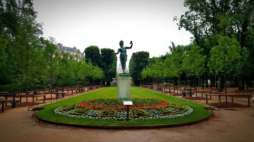 Trees in park