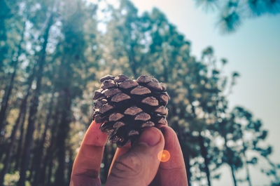 Midsection of person holding ice cream cone against blurred background