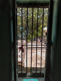 Trees seen through closed window of house