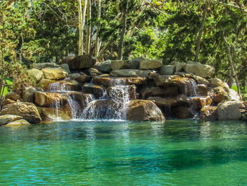 Scenic view of waterfall in forest