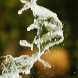 Close-up of turtle in water