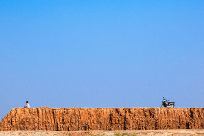 Horse against clear blue sky