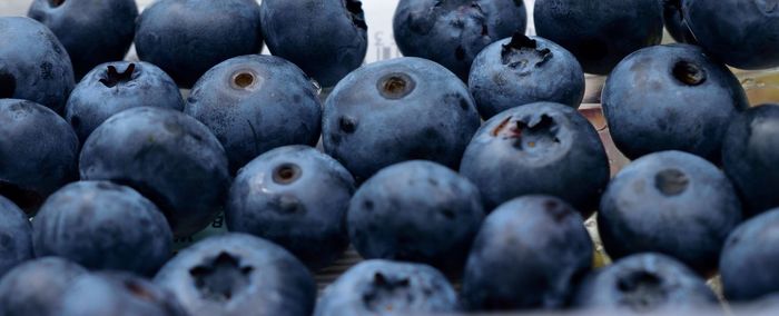 Full frame shot of blueberries for sale