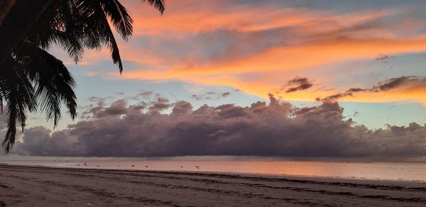 Scenic view of beach against sky during sunset