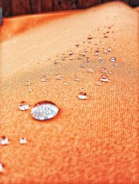 Close-up of human eye