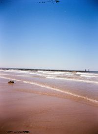 Scenic view of beach against clear blue sky