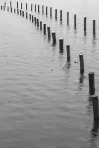 Wooden posts in water