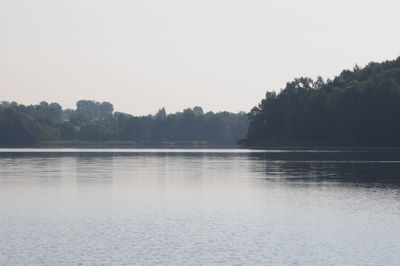 Reflection of trees in water