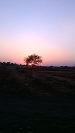 Silhouette trees on field against sky during sunset