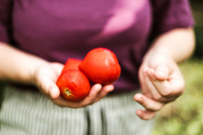 Close-up of hand holding tomatoes