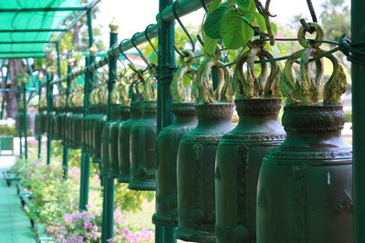 Close-up of metallic bells hanging in row