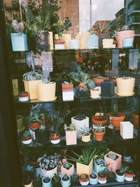 Market stall for sale in store