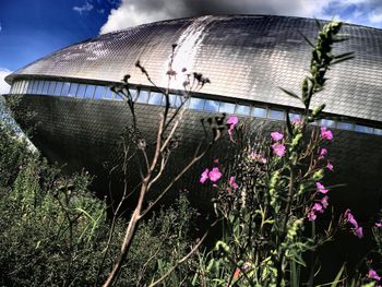 Close-up of plants against sky