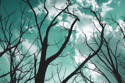 Low angle view of bare tree against sky