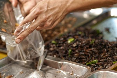 Close-up of person preparing food