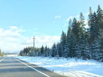 Road amidst trees against sky