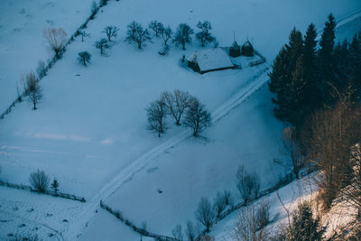 High angle view of trees on snow covered landscape