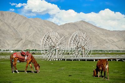 Horses on field against mountain