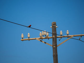 Low angle view of bird perching on electricity pylon against clear blue sky