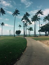 Scenic view of palm trees against sky