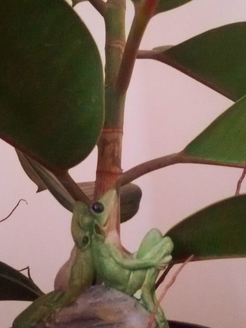 low angle view, branch, leaf, tree, art, sculpture, green color, statue, art and craft, close-up, human representation, creativity, indoors, growth, hanging, plant, focus on foreground, animal representation, no people, day