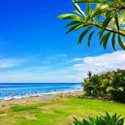 Scenic view of beach against blue sky