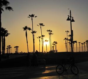 Cars on road at sunset
