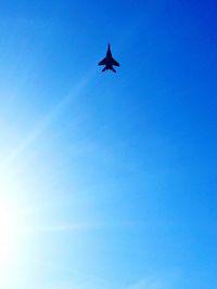 Low angle view of birds flying against clear blue sky