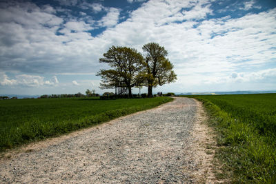 Road amidst trees on field against sky