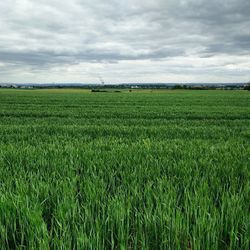 Scenic view of field against cloudy sky