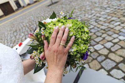 Close-up of hand holding plant