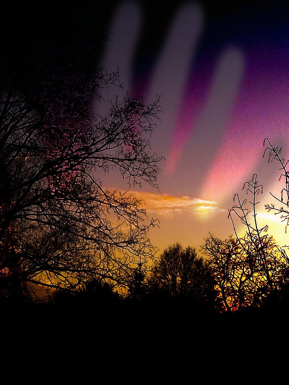 silhouette, sunset, tree, beauty in nature, sky, scenics, tranquility, tranquil scene, nature, idyllic, branch, dramatic sky, cloud - sky, low angle view, orange color, growth, outdoors, dusk, landscape, no people